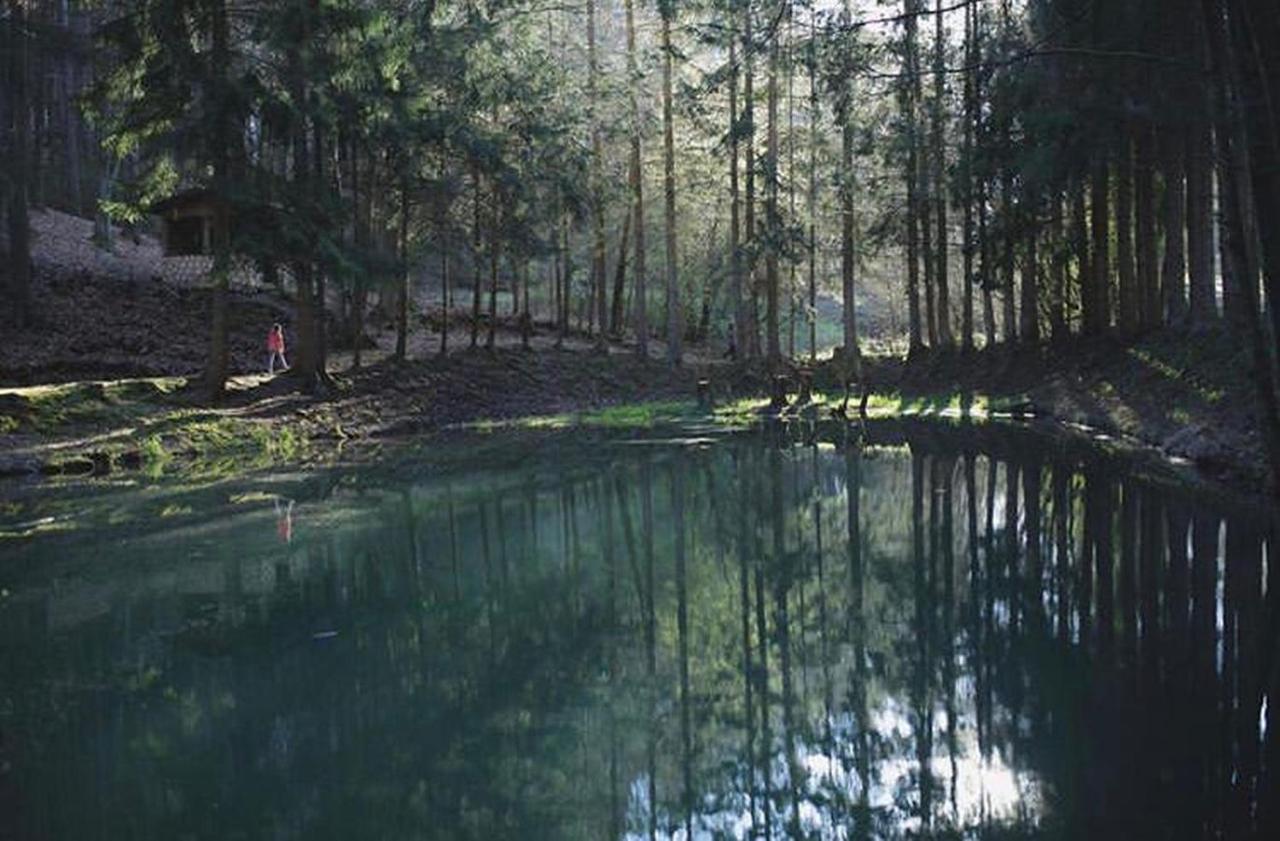 Ferienhaus "Gestiefelter Kater" Am See Im Bergland 基希海姆 外观 照片